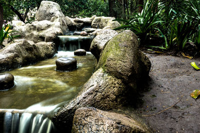 Water flowing through rocks in forest