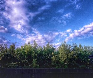 View of trees against cloudy sky