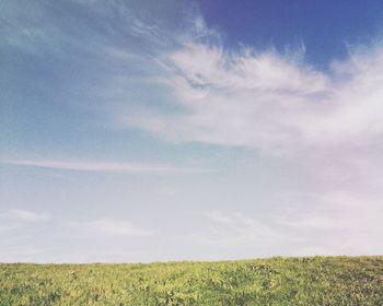 Scenic view of grassy field against sky