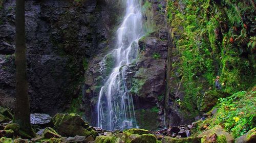 River flowing through rocks