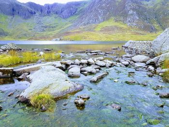 Scenic view of lake and mountains