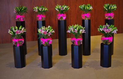 Close-up of pink flower pot