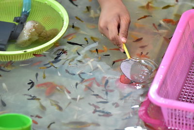 Cropped hand of person catching fish using net in water