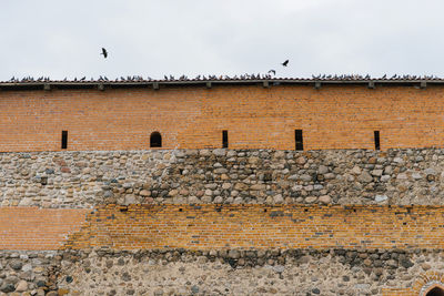 Lida, belarus. april 2022. pigeons on the wall of the leeds castle