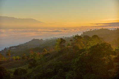 Scenic view of tree mountains against sky during sunset