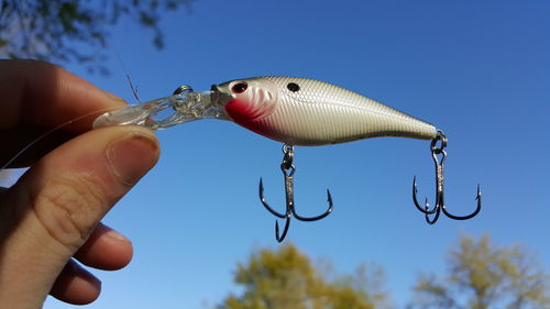 Cropped hand holding fishing hook against clear blue sky