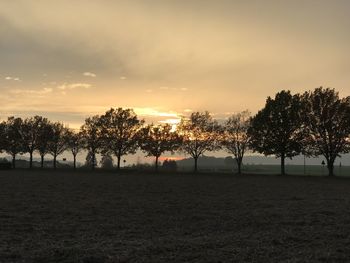 Silhouette trees on field against sky during sunset