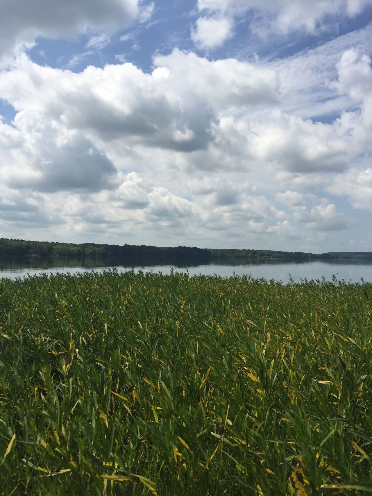 Clearfork Reservoir