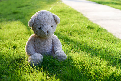 Abandoned teddy bear on landscape