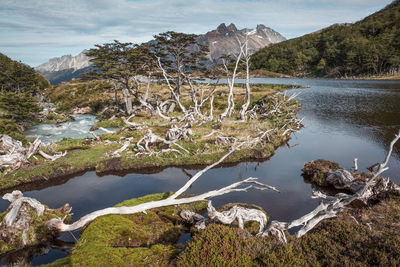 Scenic view of lake and mountains against sky