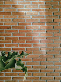 Close-up of brick wall