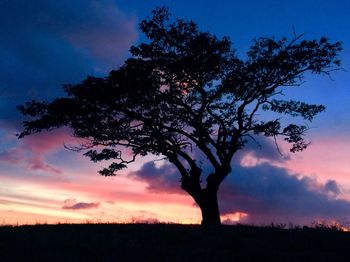 Silhouette tree against dramatic sky during sunset