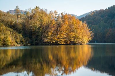 Scenic view of lake by trees during autumn