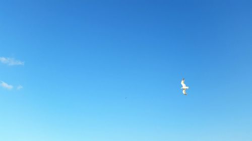 Low angle view of kite flying against clear blue sky