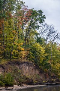 Scenic view of waterfall in forest during autumn