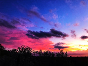 Silhouette trees against dramatic sky during sunset