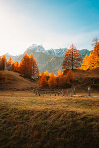 Scenic view of field against sky