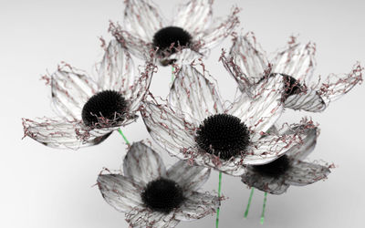 Close-up of wilted plant against white background
