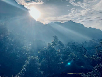 Sunlight streaming through trees against sky