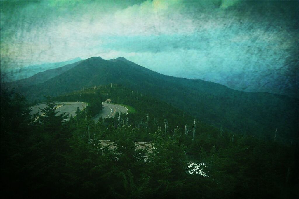 Mt Mitchell