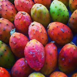 Full frame shot of prickly pears