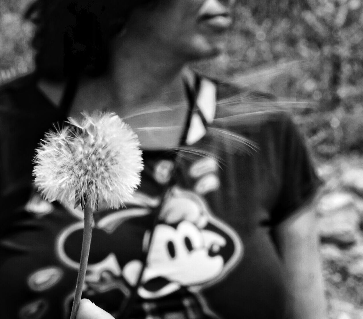 flower, holding, lifestyles, fragility, freshness, flower head, focus on foreground, dandelion, close-up, leisure activity, indoors, person, petal, selective focus, growth, nature, young adult