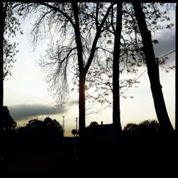 Silhouette trees against sky during sunset