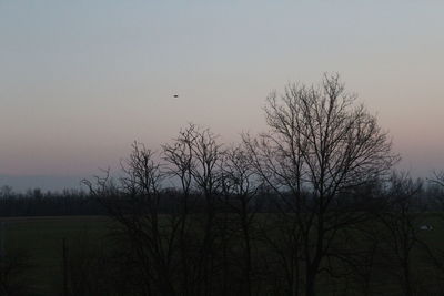 Silhouette of bare tree against clear sky