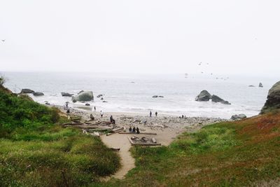 Scenic view of sea against clear sky