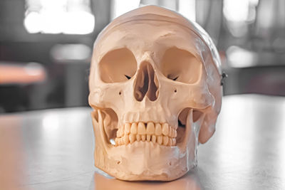 Close-up of human skull on table