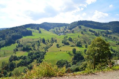 Scenic view of agricultural landscape against sky