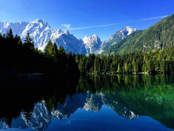 Scenic view of lake by trees against blue sky