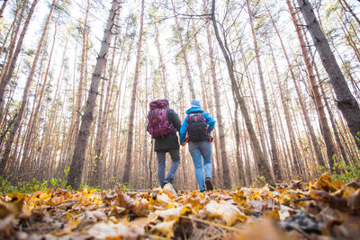 Rear view of people walking in forest during autumn
