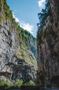 Low angle view of rock formation amidst trees against sky