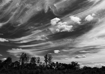 Low angle view of silhouette trees against sky