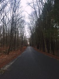 Road amidst trees against sky