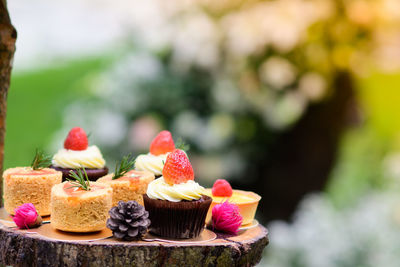 Close-up of cake with fruits