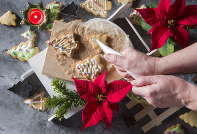 Female hands decorate shortbread christmas cookies with icing,