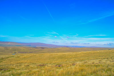 Scenic view of landscape against blue sky