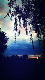 Silhouette of trees at sunset