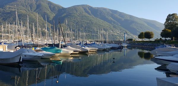 Boats moored at harbor