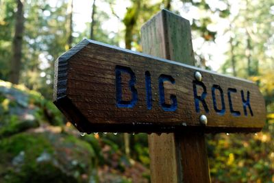 Close-up of text on wood against trees