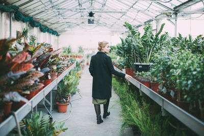 Full length portrait of woman standing in greenhouse