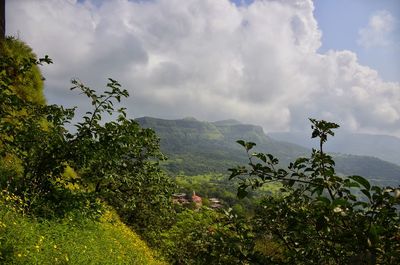 Scenic view of tree mountains against sky