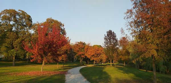 Footpath amidst trees against clear sky during autumn