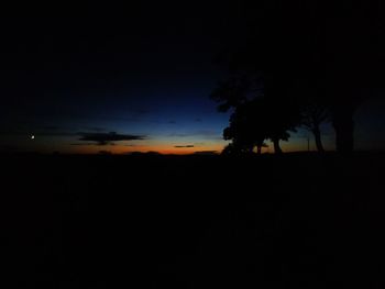 Silhouette trees against sky at night