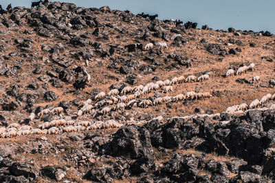 Rock formations on landscape against sky