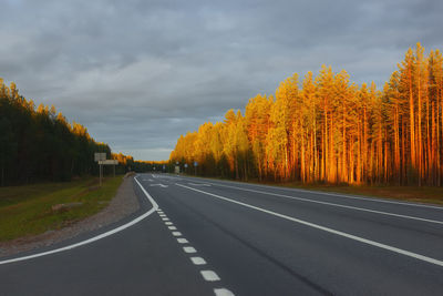 Empty asphalt highway among the forest. trees are painted by golden sunset. a-119 road in russia.