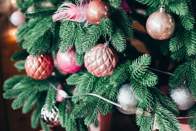 Close-up of christmas tree