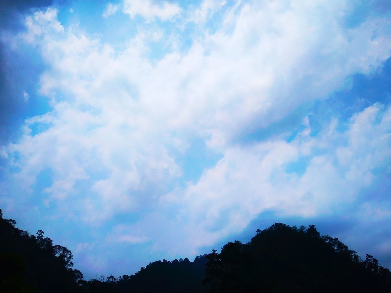 cloud - sky, sky, beauty in nature, tree, tranquility, nature, scenics - nature, low angle view, plant, no people, day, tranquil scene, silhouette, outdoors, non-urban scene, idyllic, growth, blue, cloudscape